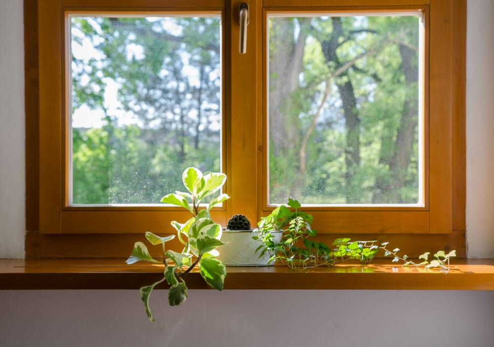 fenêtre en bois sur mesure Pacy sur eure
